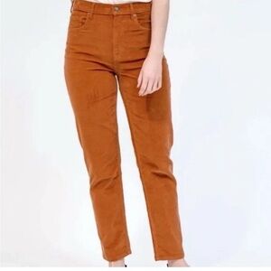 Everlane Baby Corduroy Cheeky Pants in Rust Women’s Size 30